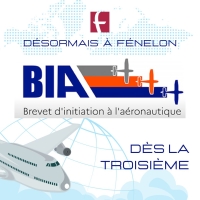 Brevet d'Initiation à l'Aéronautique