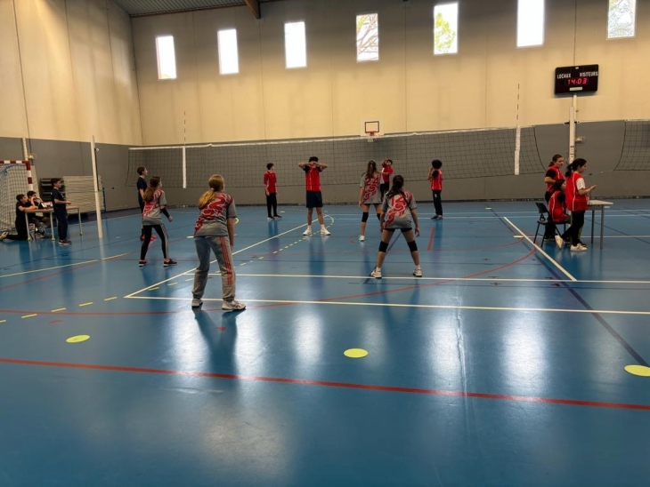 VOLLEY