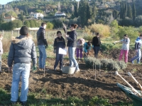 Les ULIS poursuivent leur projet au MIP...