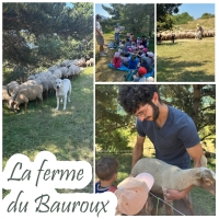Visite de la ferme du Bauroux