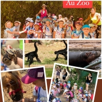 Les MSA au zoo