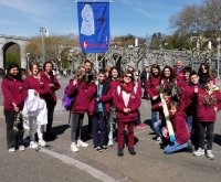 Pélerinage à Lourdes