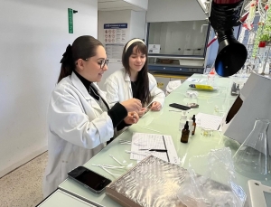 ISM F&eacute;nelon : Mast&egrave;re MASC