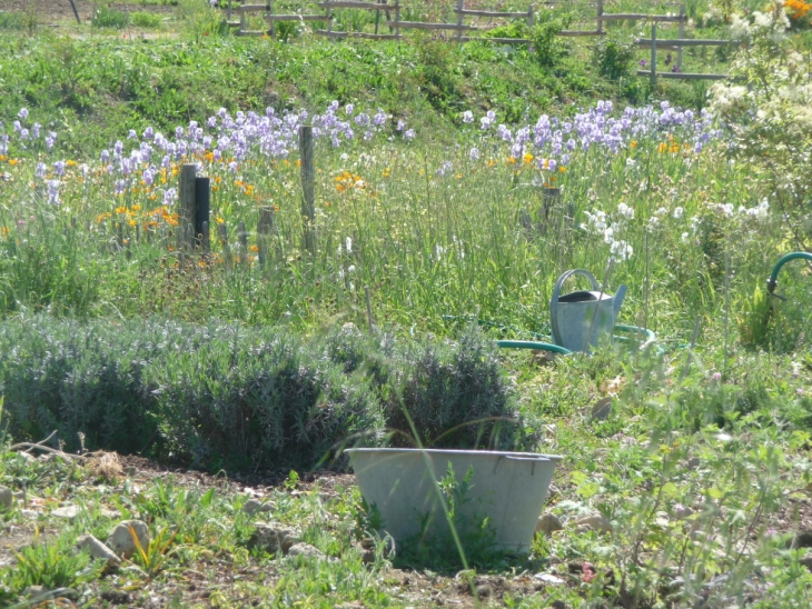 l&#039;ULIS fait son jardin au MIP...