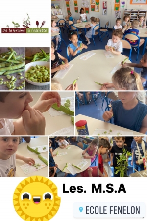 De la graine &agrave; l'assiette